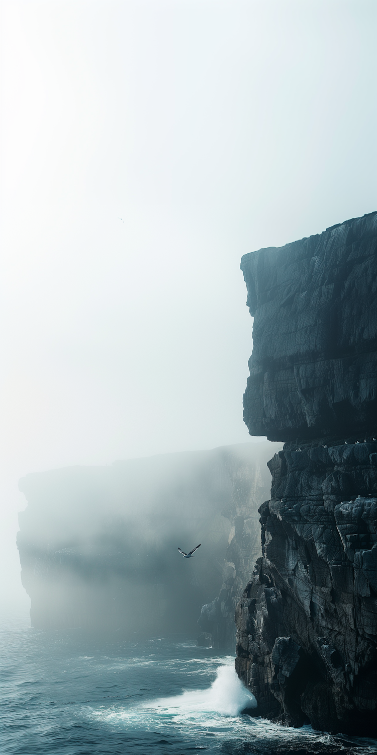 Sea cliffs rising out of low mist with a single bird in flight over the water